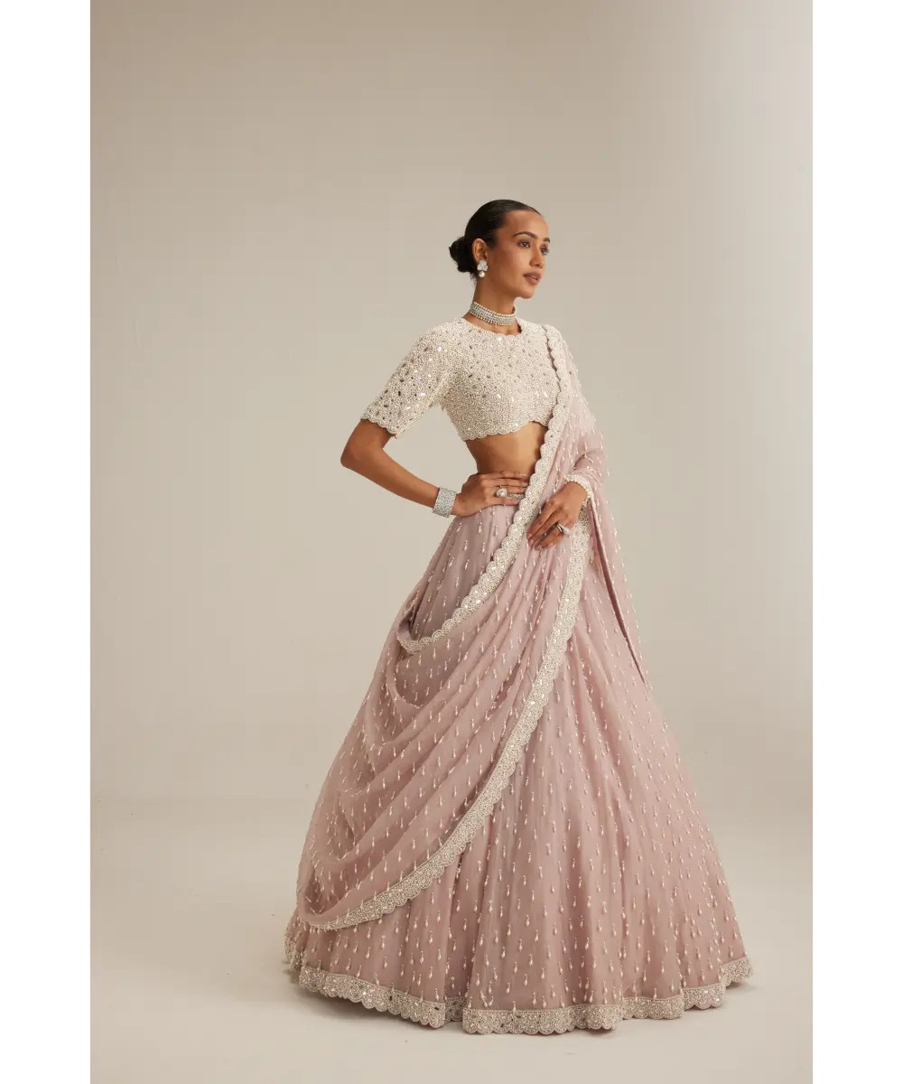 VVANI VATS- Ash Pink Pearl Drop Lehenga with high neck blouse